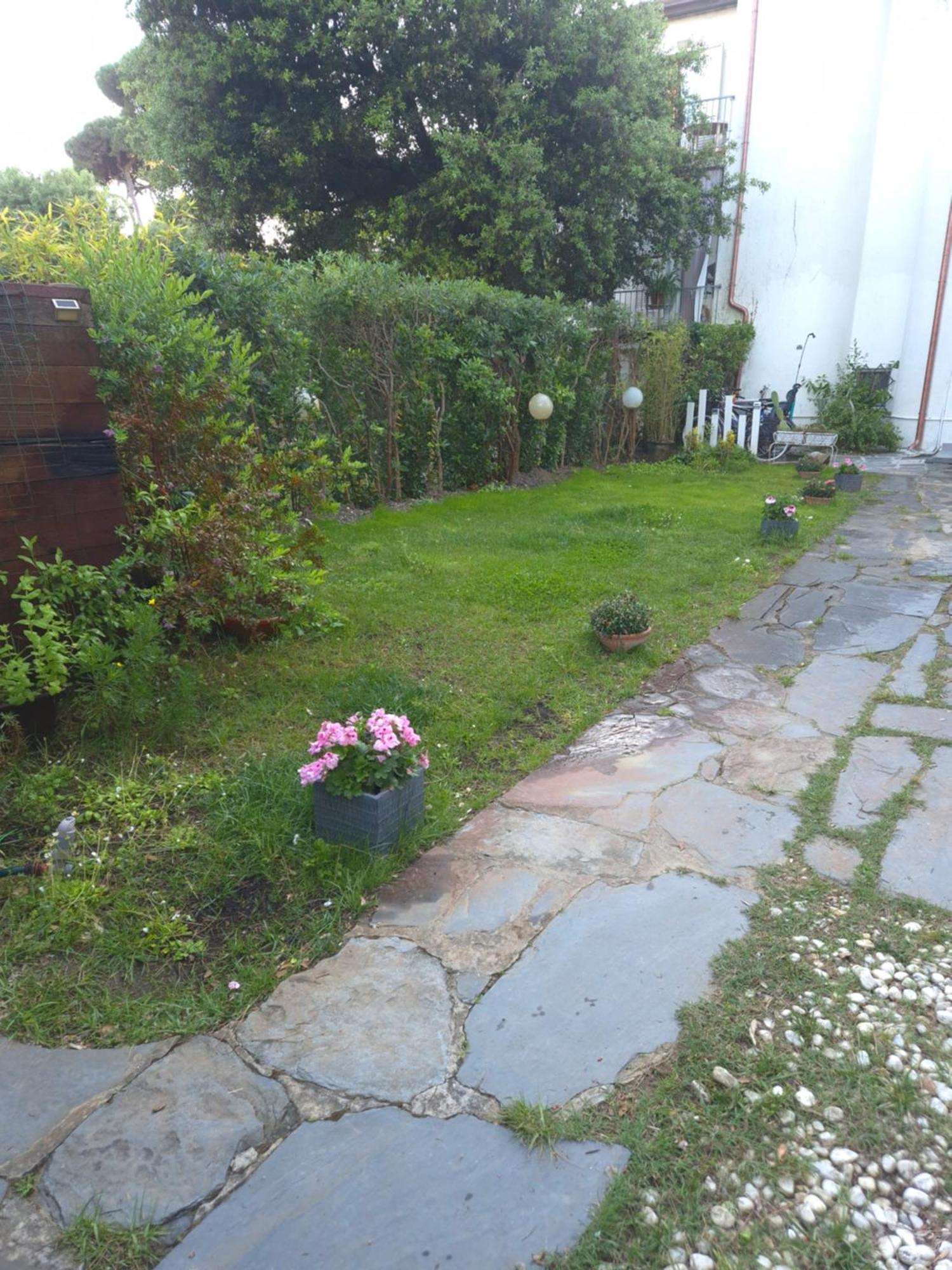 Domusauroom, Relax Nel Cuore Della Versilia - Pet Friendly Viareggio Exterior photo